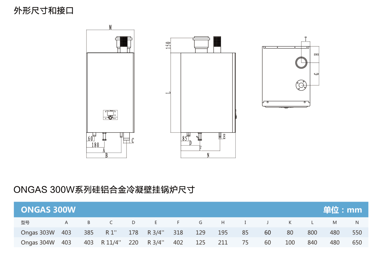 壁挂式冷凝锅炉 ONGAS 300W系列