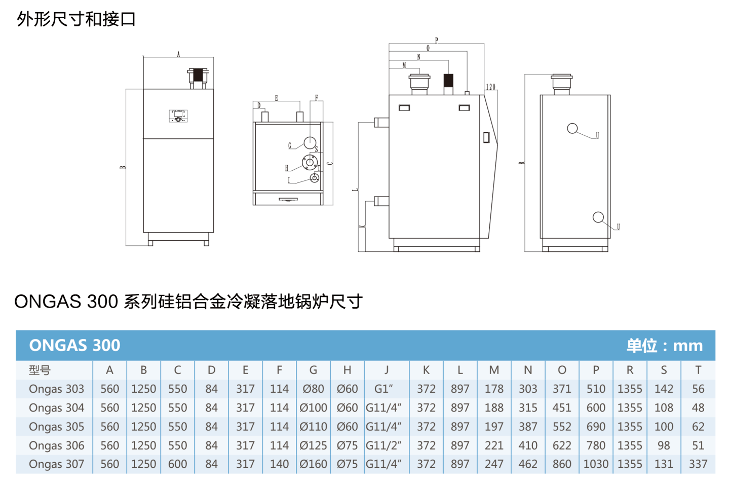 ONGAS 300 系列硅铝合金冷凝落地式锅炉