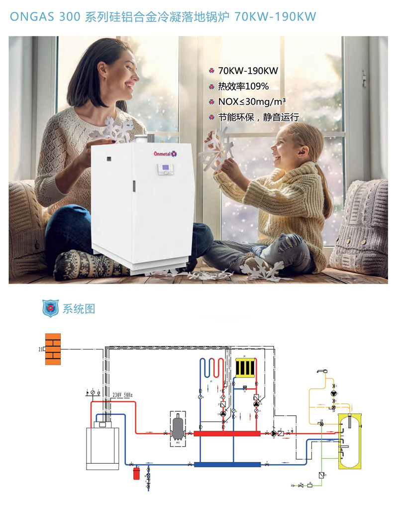 落地式冷凝锅炉 ONGAS 300 系列