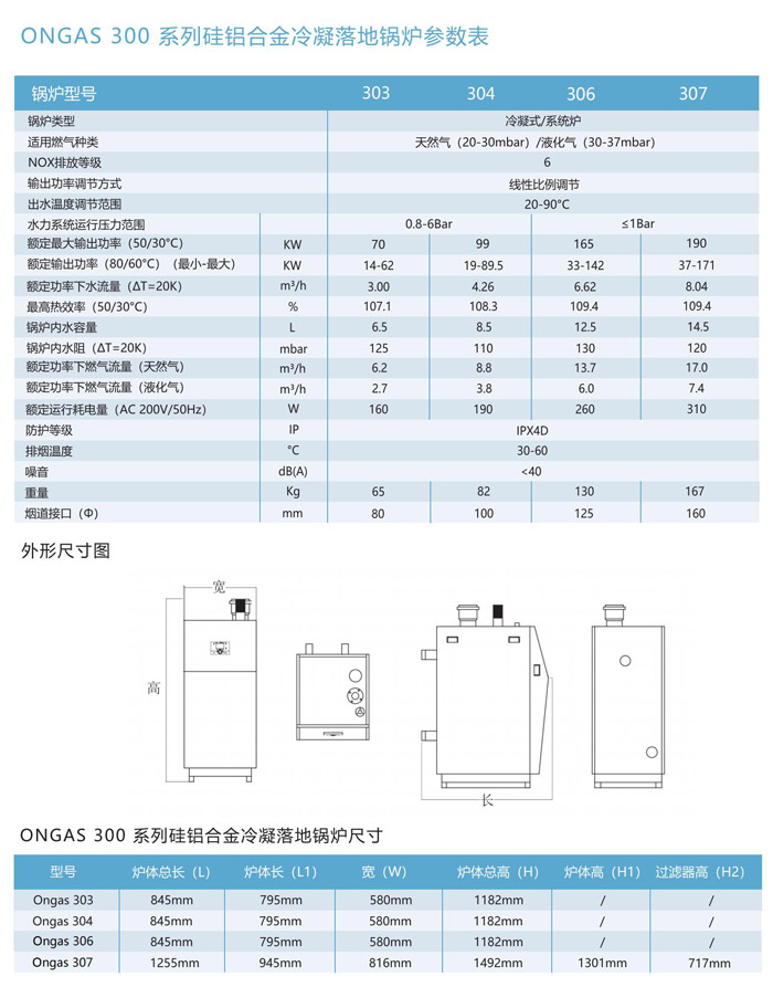 落地式冷凝锅炉 ONGAS 300 系列